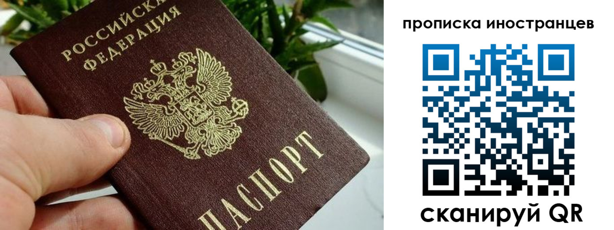 временная регистрация в Петров Вале